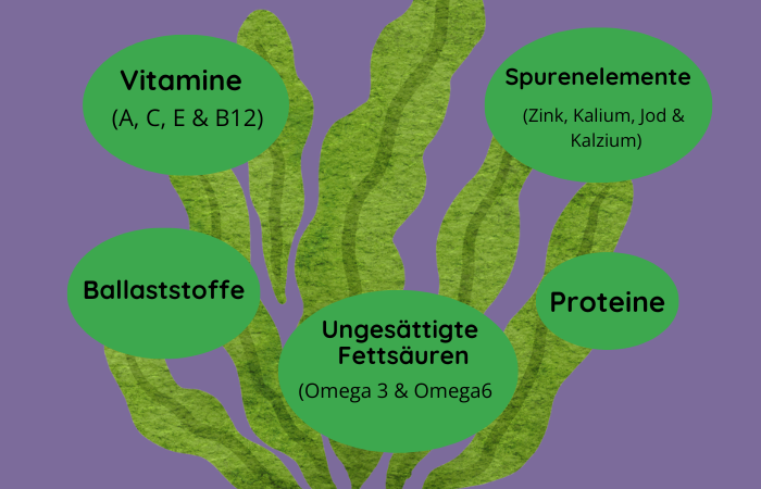 Algen Nährstoffe